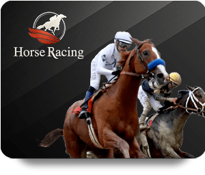Top Live Casino Games You Should Try Right Now